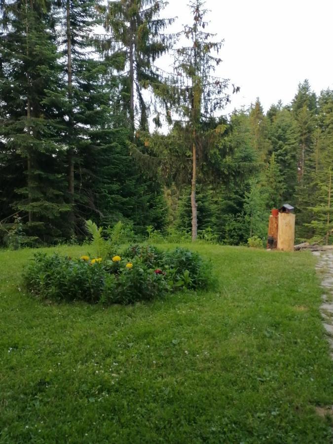 PARADIZO-ZLATAR, apartman 3 Brdo Bagian luar foto